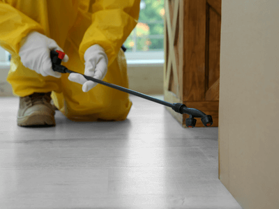 About Ecofortressix Solution - pest control experts in Chehalis